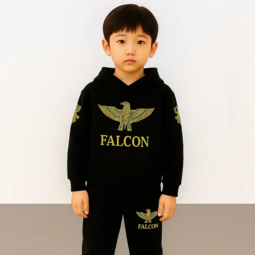 Hoodie Set -Falcon Z